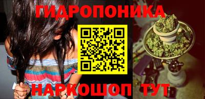a pvp Лесосибирск