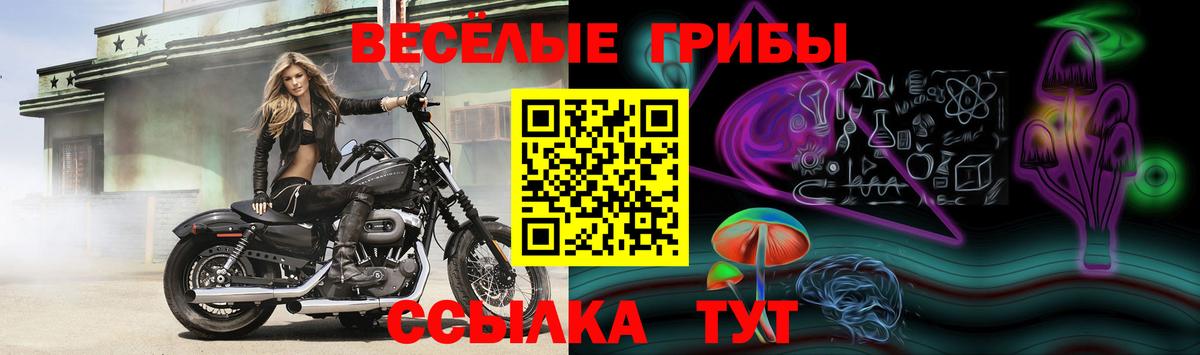 NBOMe  Дзержинск  COCAIN  ГАШИШ  Вход с VPN  МЕФ кристаллы  Канабис  LSD-25  МЕФ  ГАШИШ 