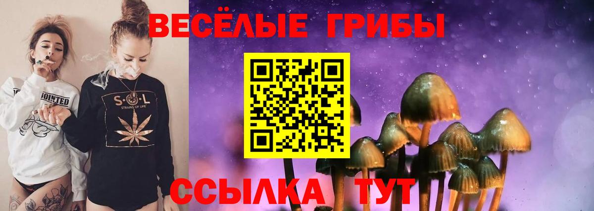 Псилоцибиновые грибы GOLDEN TEACHER  Вход с VPN  Дзержинск 